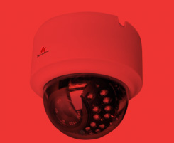 IP CCTV Cameras